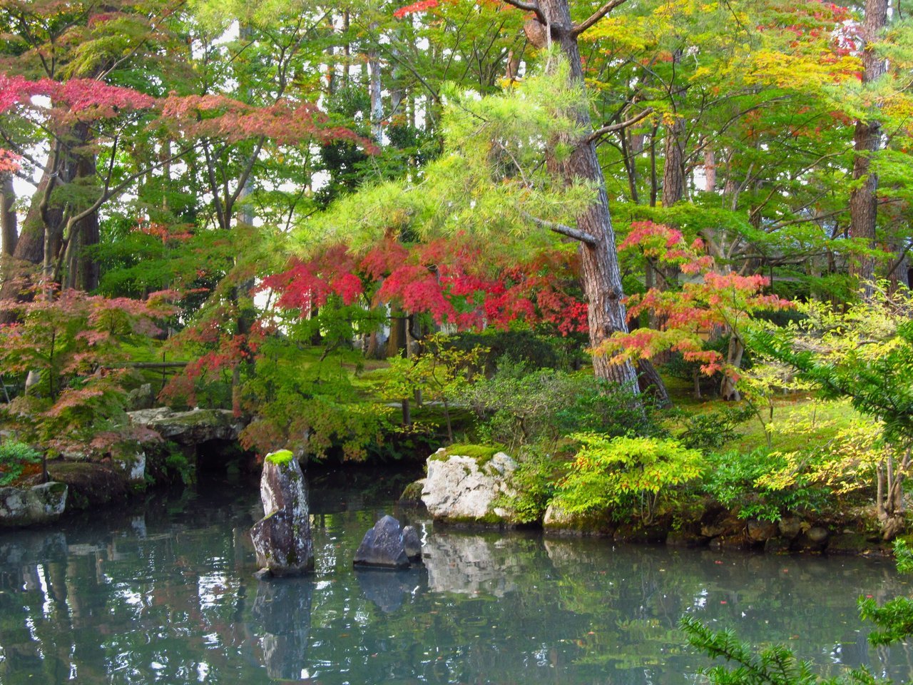 🏞️ 시미즈엔(구 시미즈다니 고덴) 이미지 7